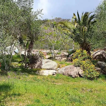 Bel appartement dans hameau calme Bonifacio  Extérieur photo