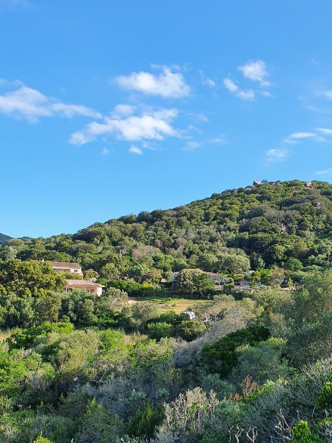 Apartment Bel Dans Hameau Calme Bonifacio (Corsica)
